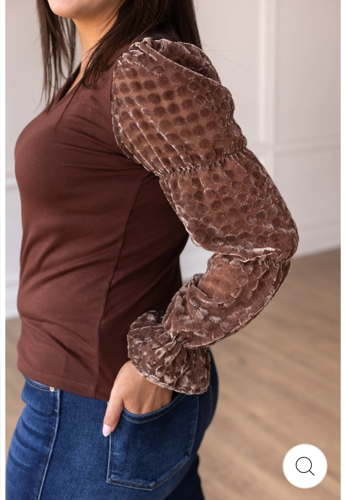 Brown top with Burnout Velvet sleeves