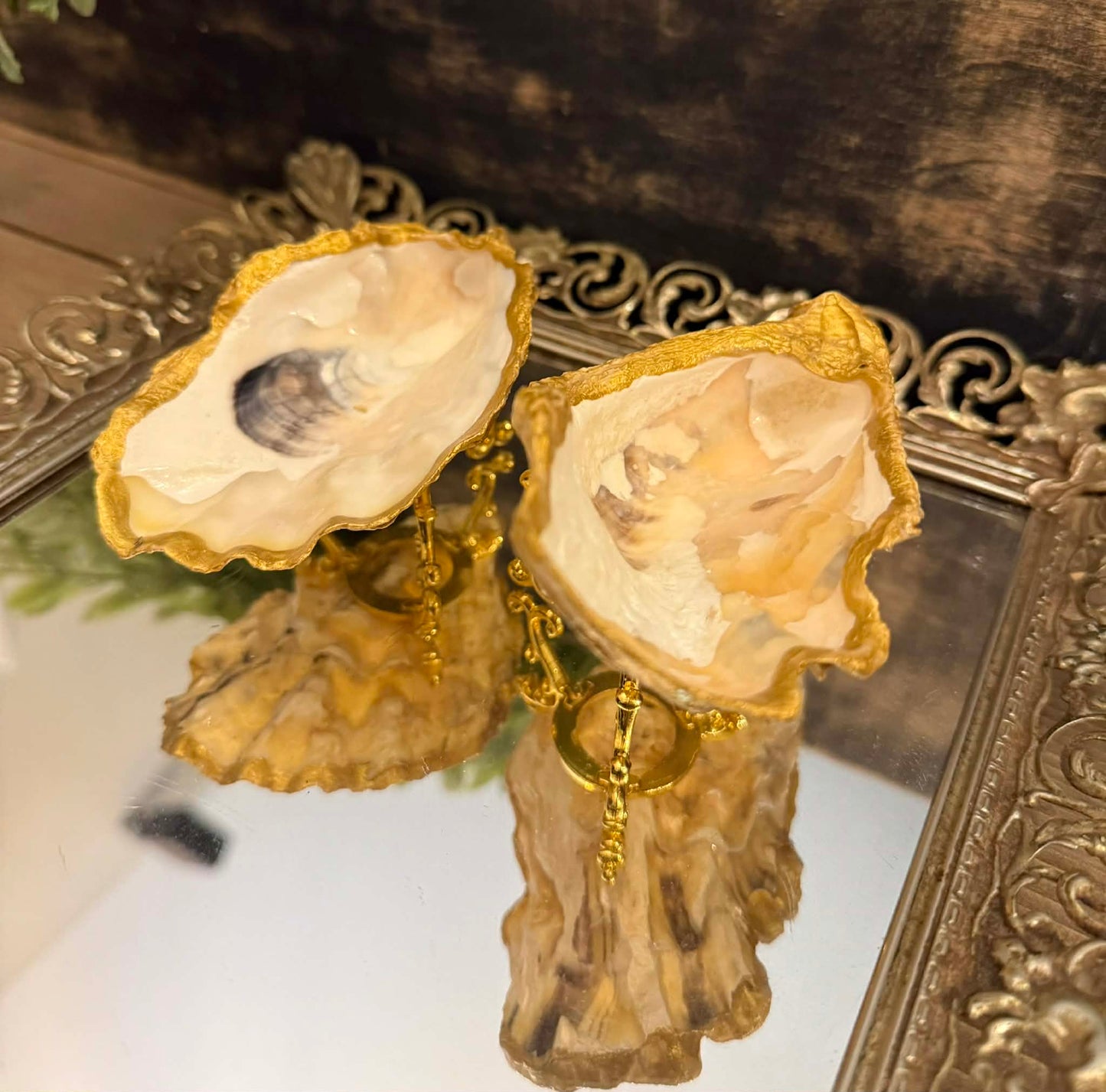 Oyster Jewelry Holder RTS