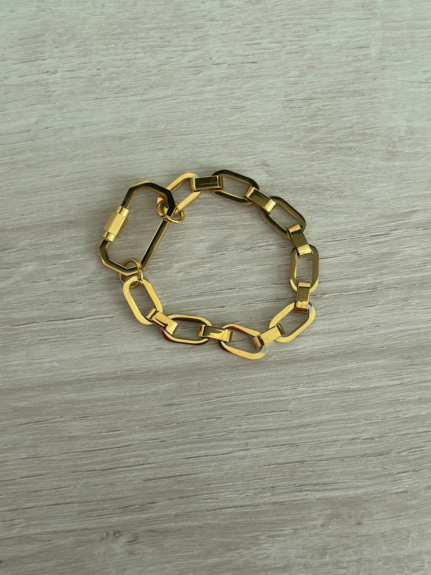 Carabiner Chunky Link Bracelet