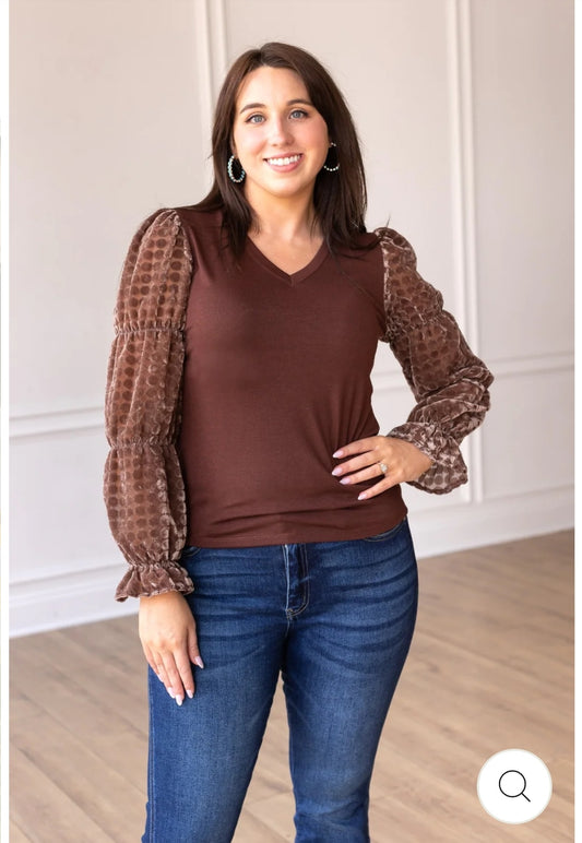 Brown top with Burnout Velvet sleeves