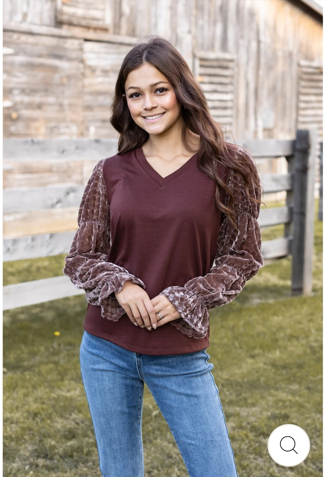 Brown top with Burnout Velvet sleeves